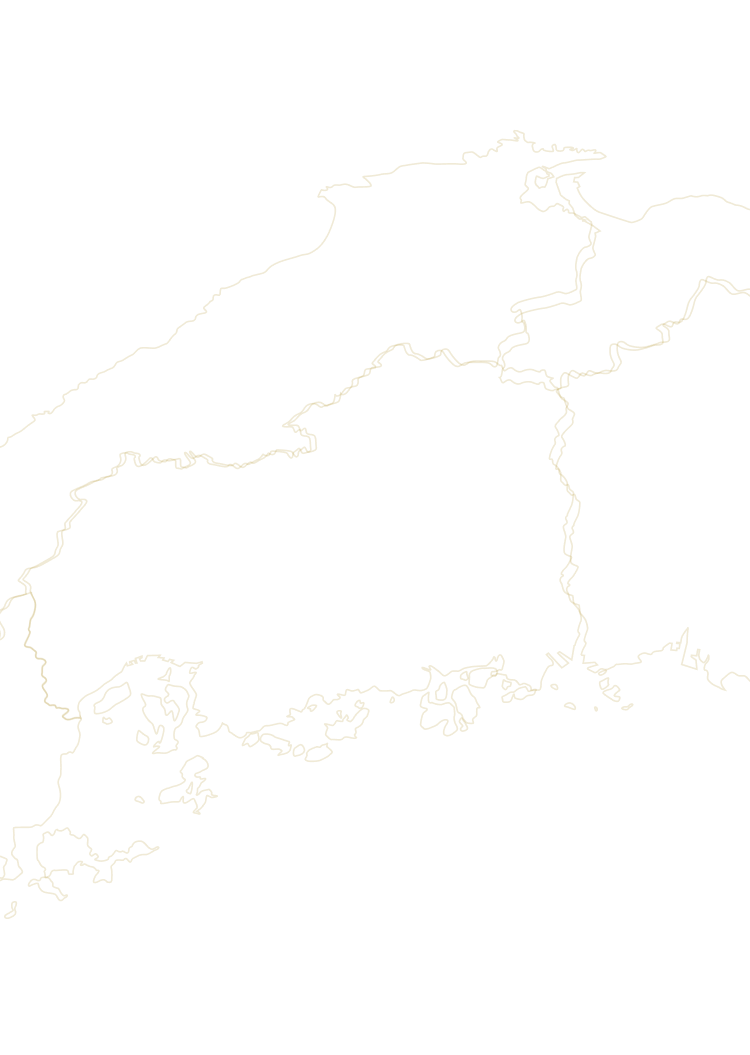 中国