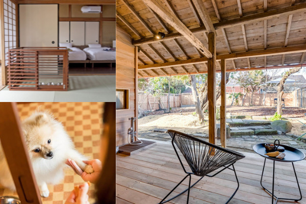 愛犬も喜ぶ ペットと泊まれる宿で家族と気兼ねなく寛ぐ Vmgでできる100のこと