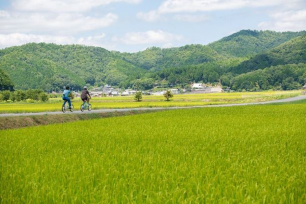 8:00 田園を巡るサイクリングと地元の珈琲をいただき結びのワークへ