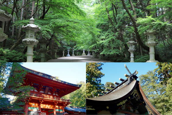 広大な森に鎮座する、全国約400社の香取神社の総本社〝香取神宮〟1