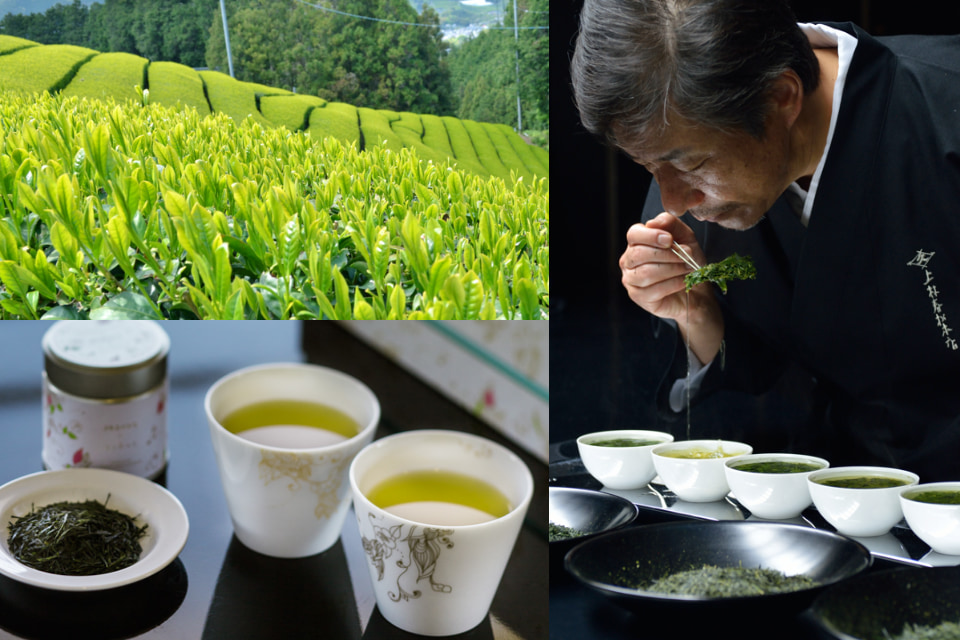 急須で入れる日本茶、京都宇治の老舗茶舗･上林春松本店伝承の作法に向き合い心を整える