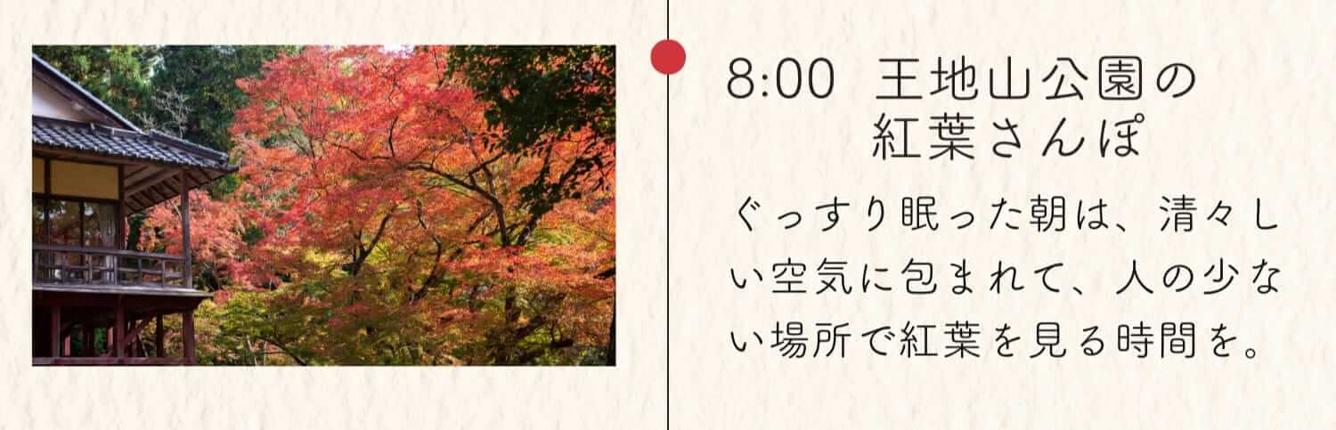 8:00 王地山公園の紅葉さんぽ ぐっすり眠った朝は、清々しい空気に包まれて、人の少ない場所で紅葉を見る時間を。