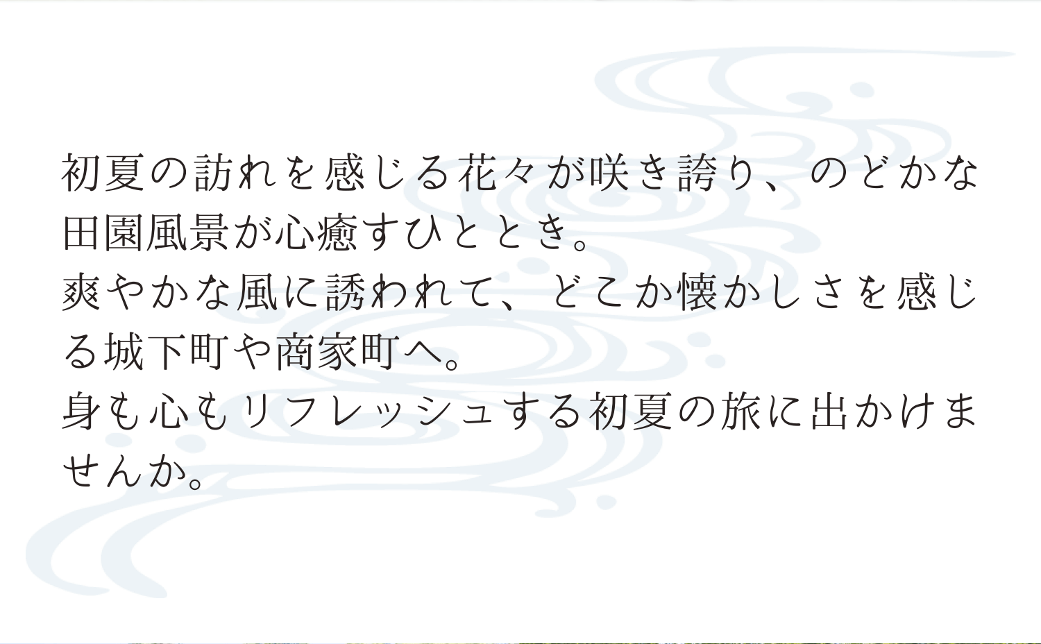 初夏の訪れを感じる花々が