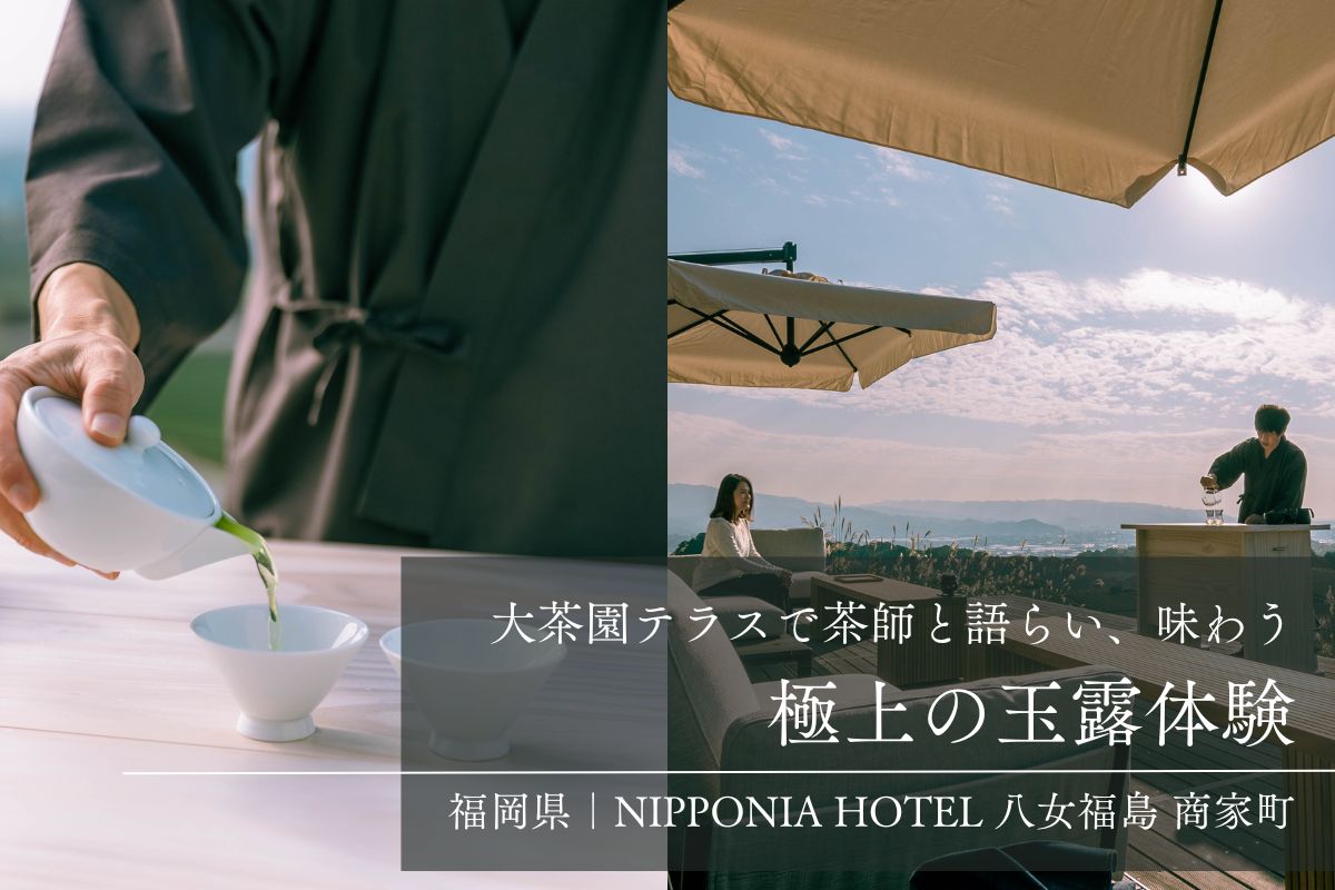 極上の玉露体験