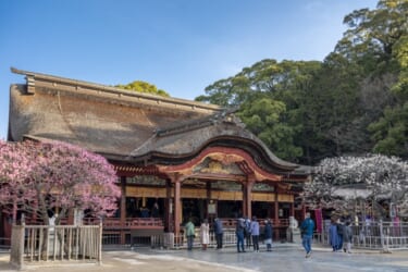 合格祈願・学業成就は学問の神様、菅原道真を祀る「太宰府天満宮」へ