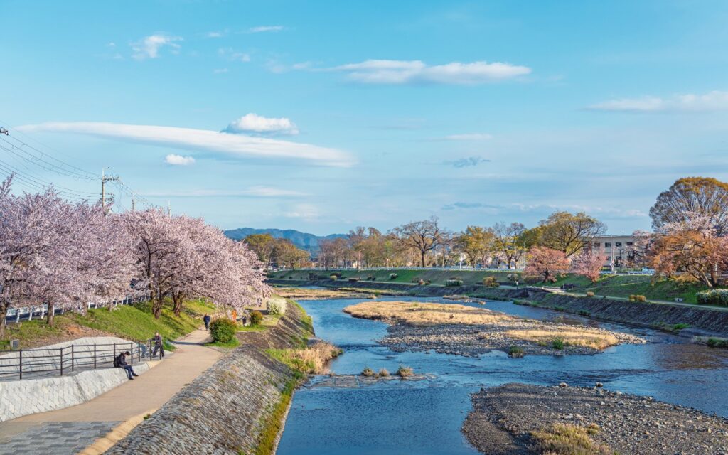 京都を流れる鴨川の春の景色