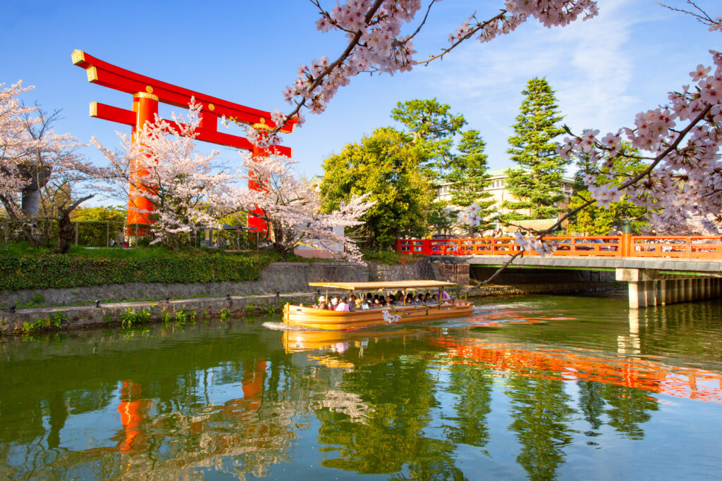 平安神宮の大鳥居と桜