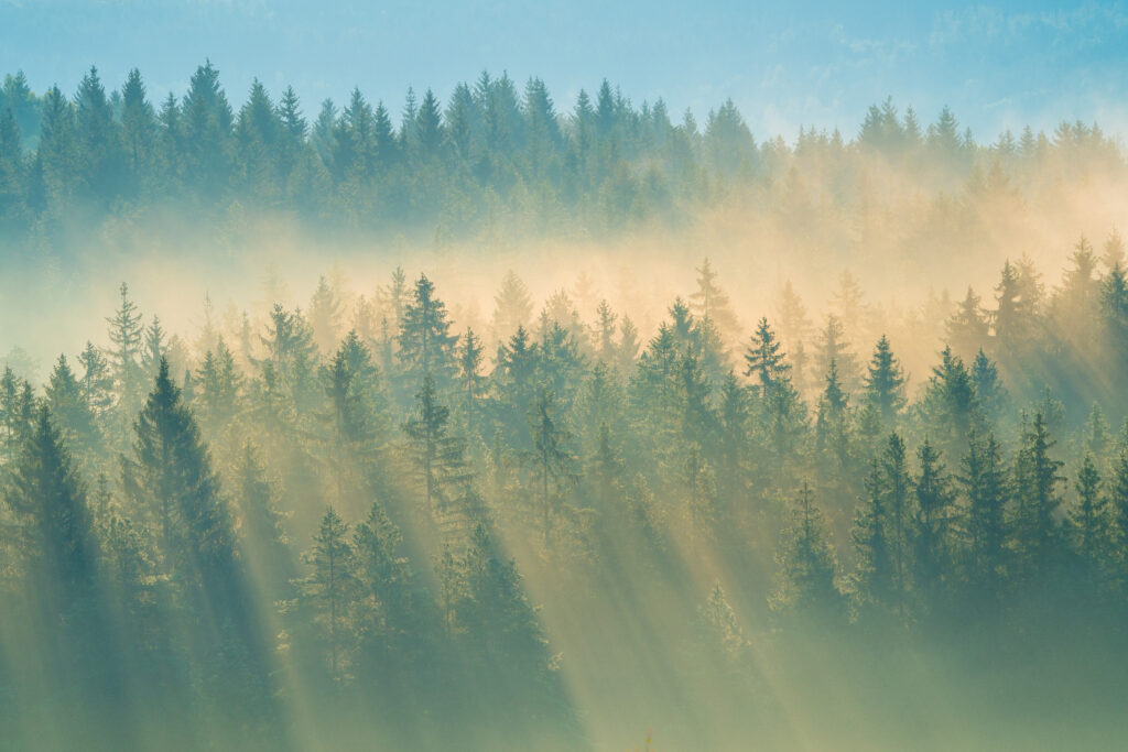 朝靄の神々しい山々の風景