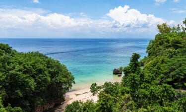 夏の海山川アウトドアスポット