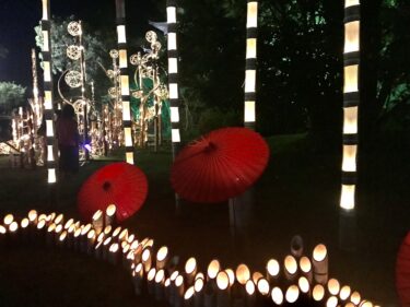 伊賀上野の竹灯り