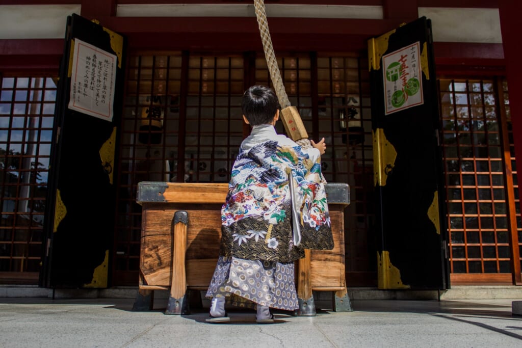 神社のすずを鳴らす男児