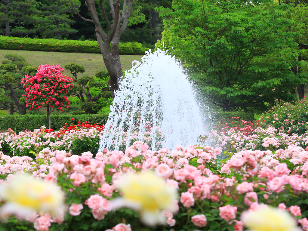 須磨離宮公園の噴水