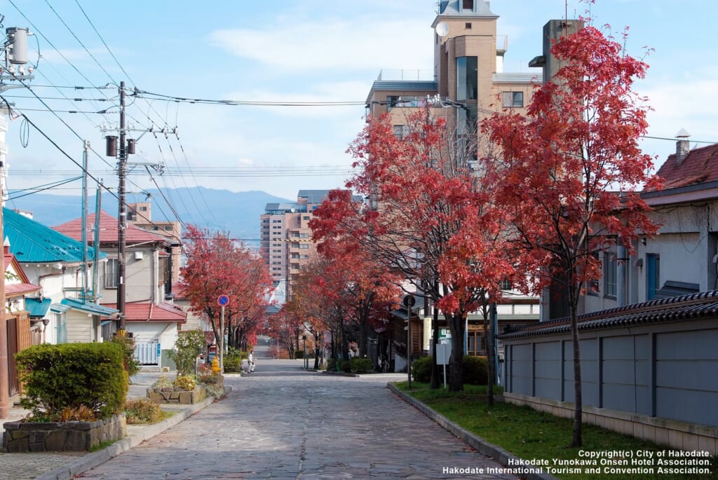 函館市元町の大三坂の紅葉