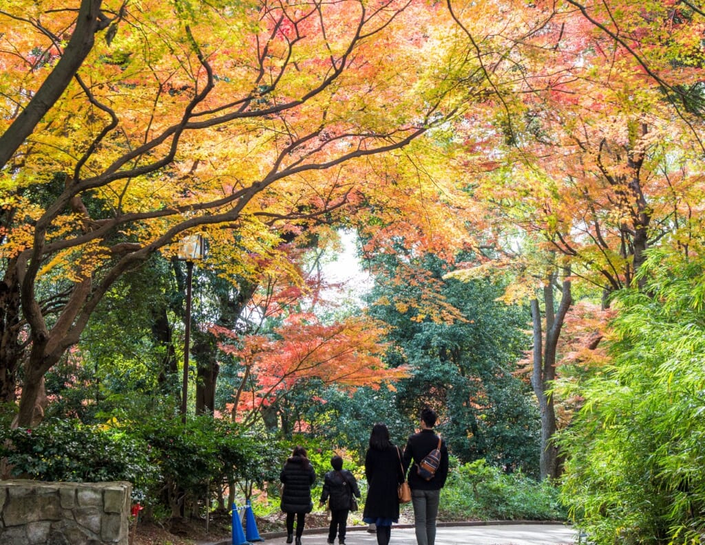 神戸須磨離宮公園の秋の紅葉シーズンの景色