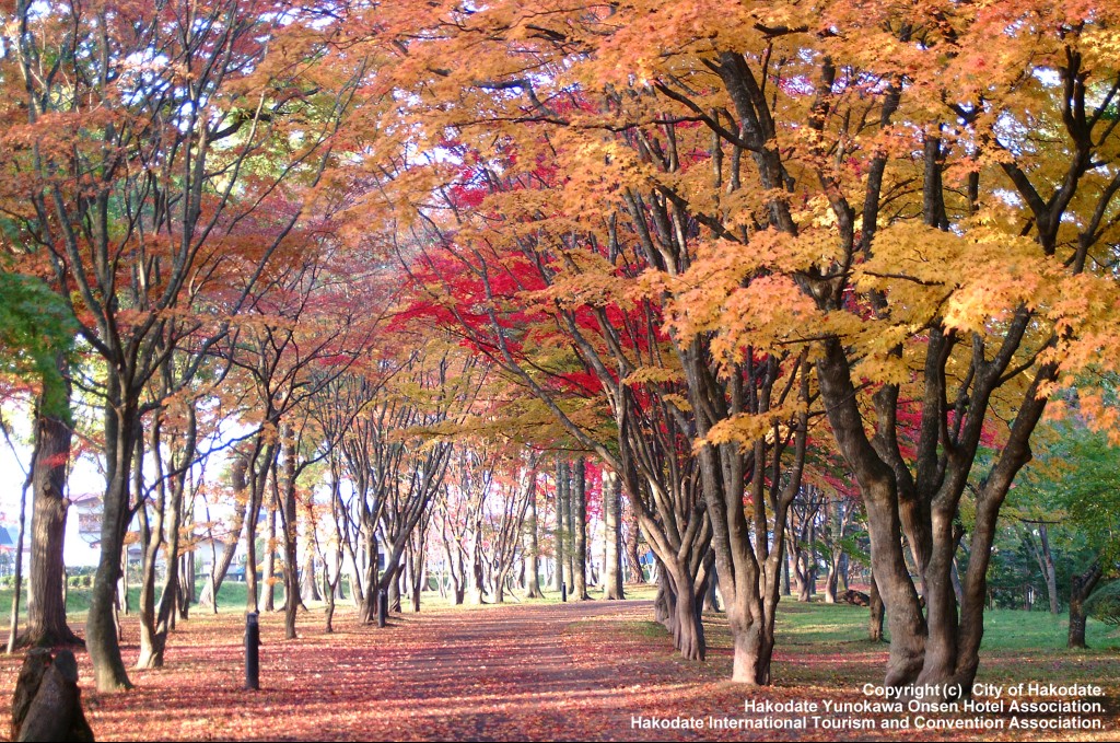 見晴公園の香雪園の紅葉