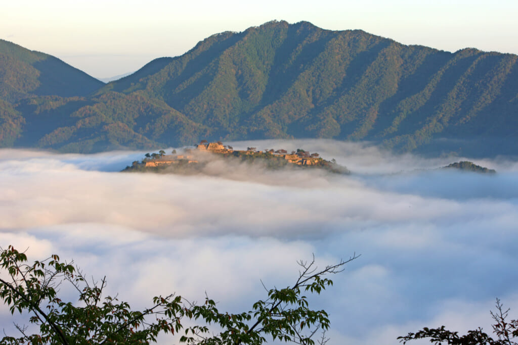 日本のマチュピチュ天空の城といわれる竹田城跡雲海