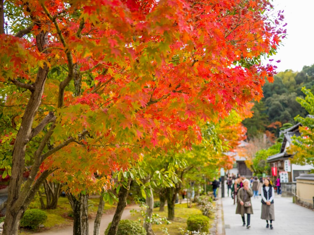 太宰府天満宮と紅葉