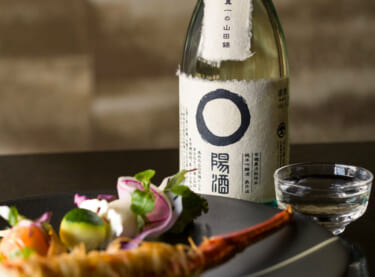 丹波・但馬の日本酒をワイングラスで。ペアリングや人気銘柄を飲み比べ
