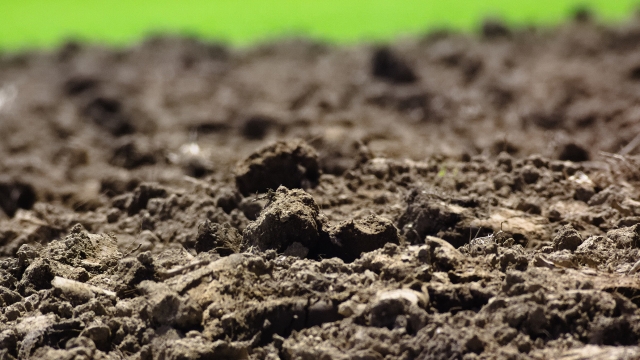 土壌の土質