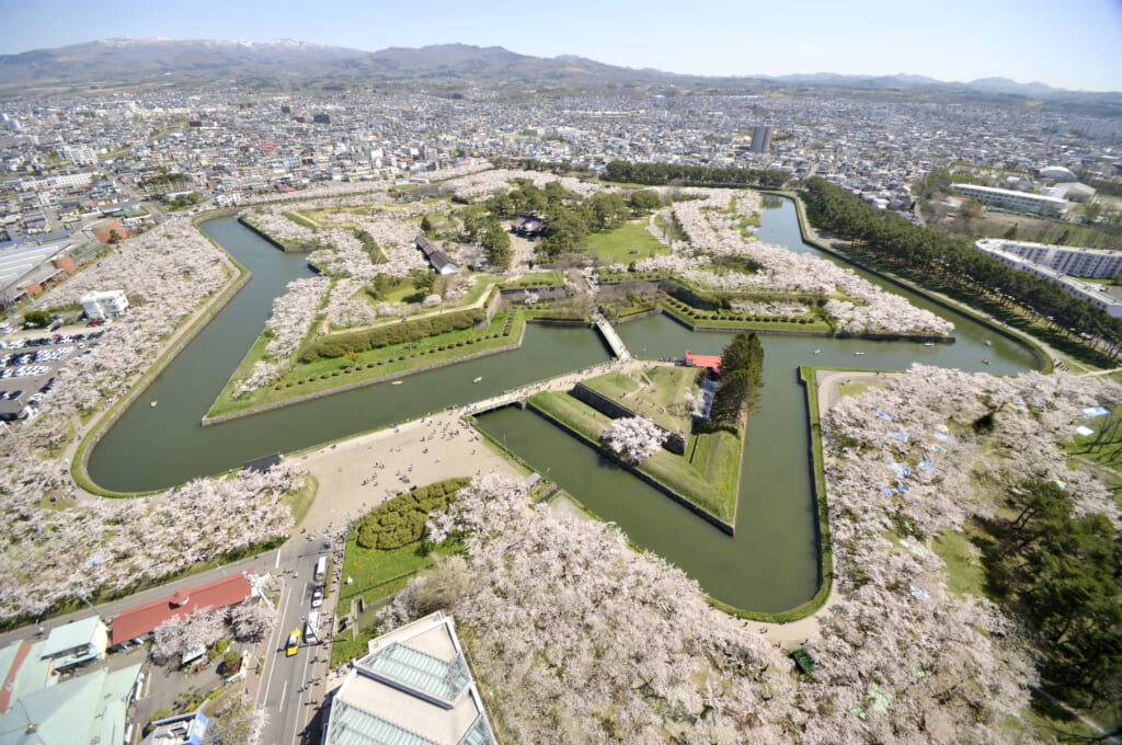 北海道函館の五稜郭公園の桜