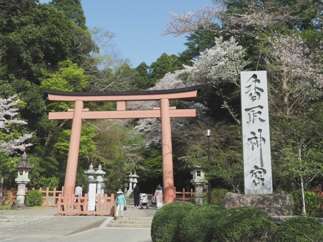 香取神宮の鳥居と桜