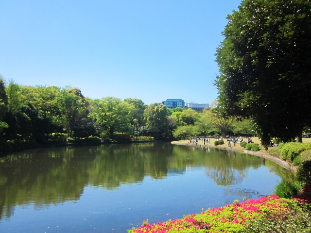 東京千代田区皇居の北の丸公園池