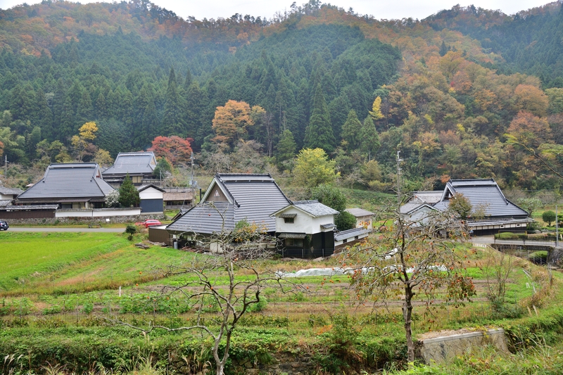 丹波篠山の丸山