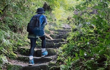 山登りをする登山者