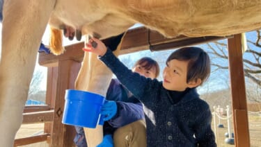 有機農法・自然農法の違い。成田ゆめ牧場で自然の魅力に触れる旅