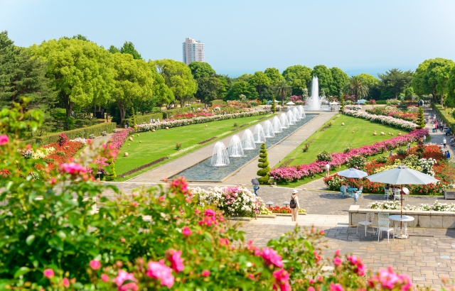 須磨離宮公園の噴水とバラ園