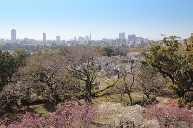 福岡の舞鶴公園