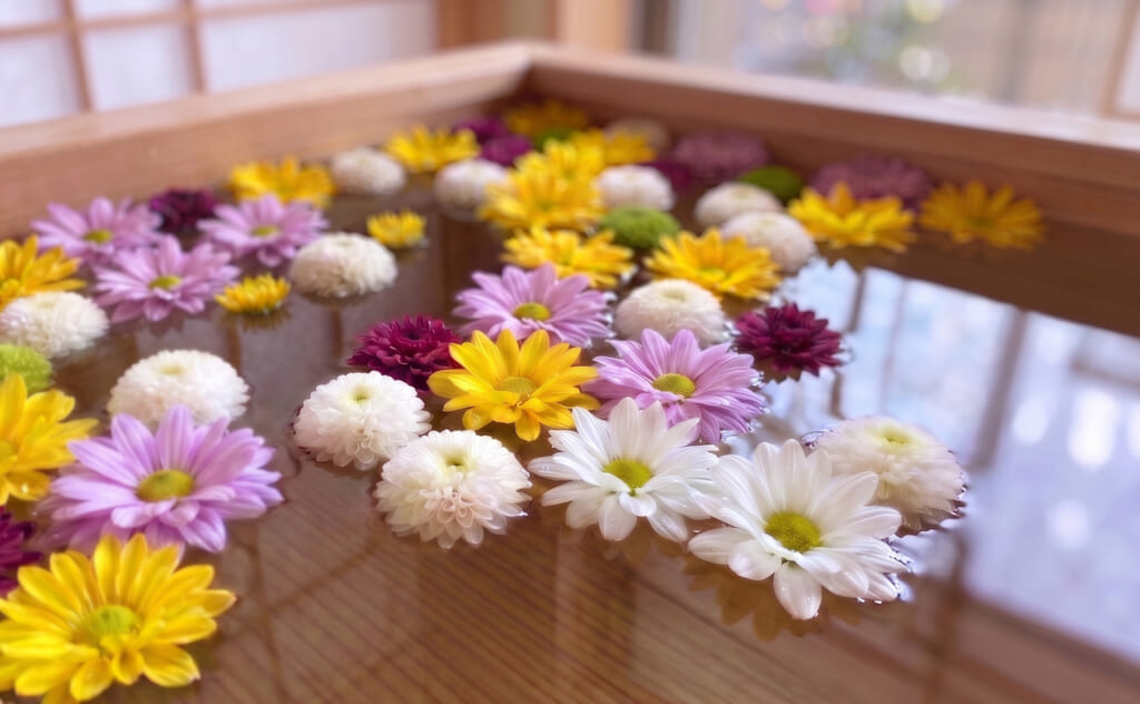 重陽の節句と菊湯