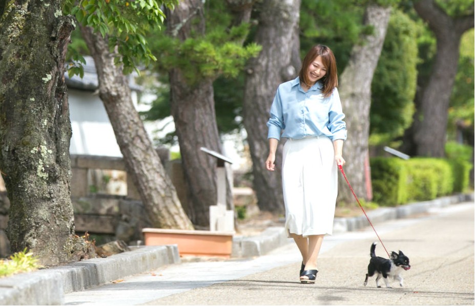 愛犬と