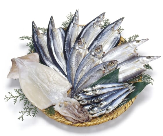 魚とイカの干物いろいろ