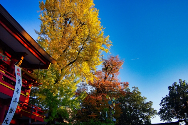 秩父神社の紅葉