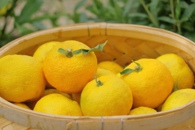 籠の中のゆず