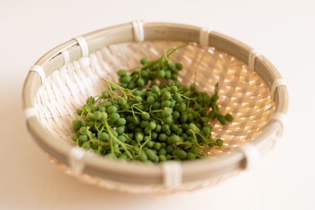 ざるに入った実山椒