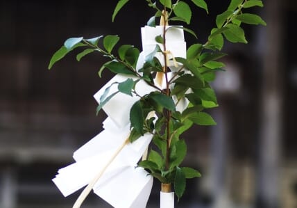 神社の真榊