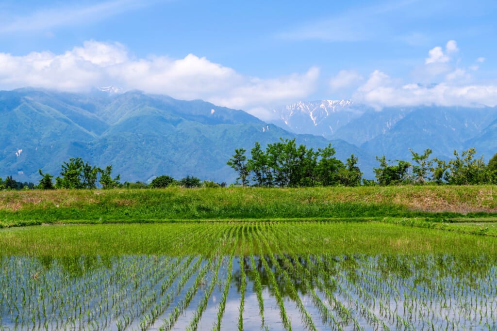 田畑のある田舎の風景