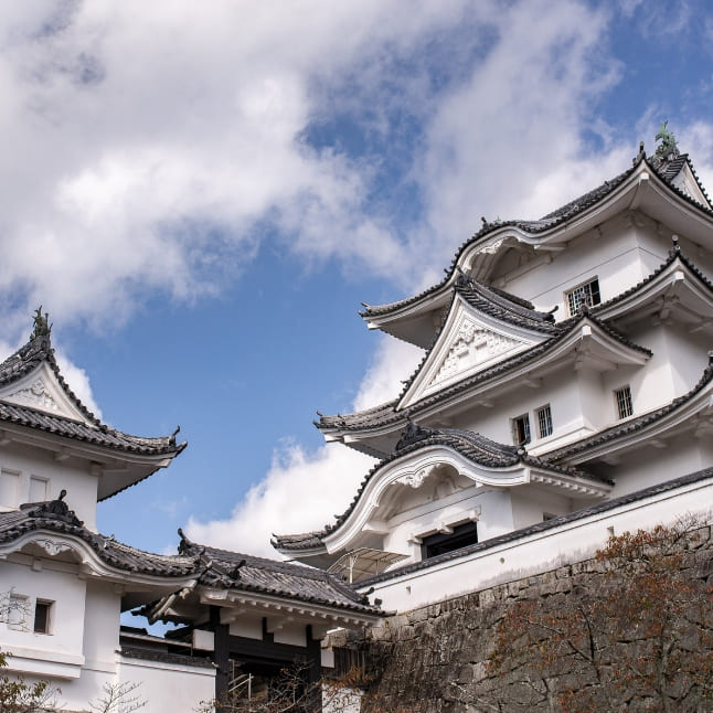 Iga Ueno Castle